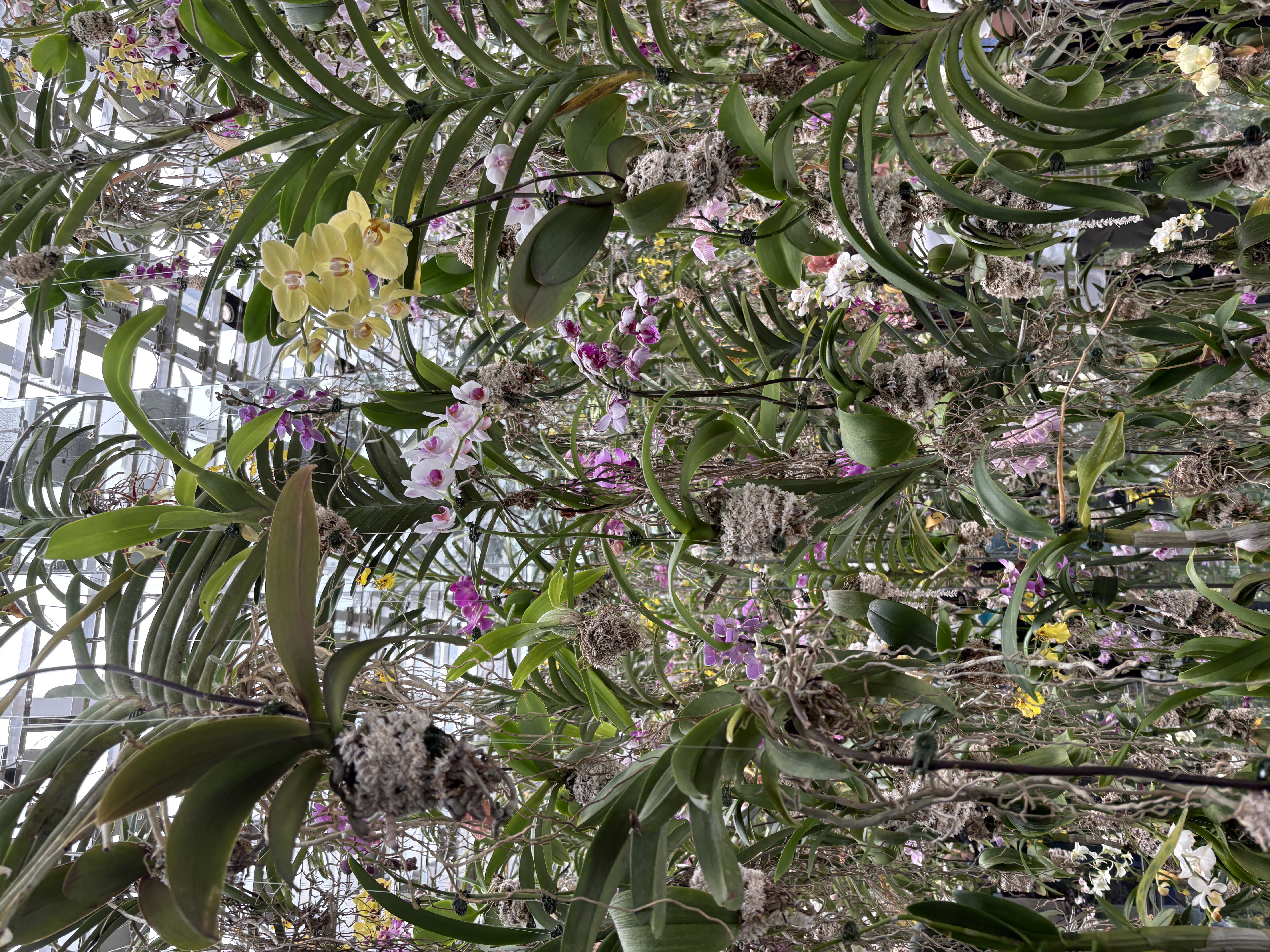 Teamlab planets Tokyo