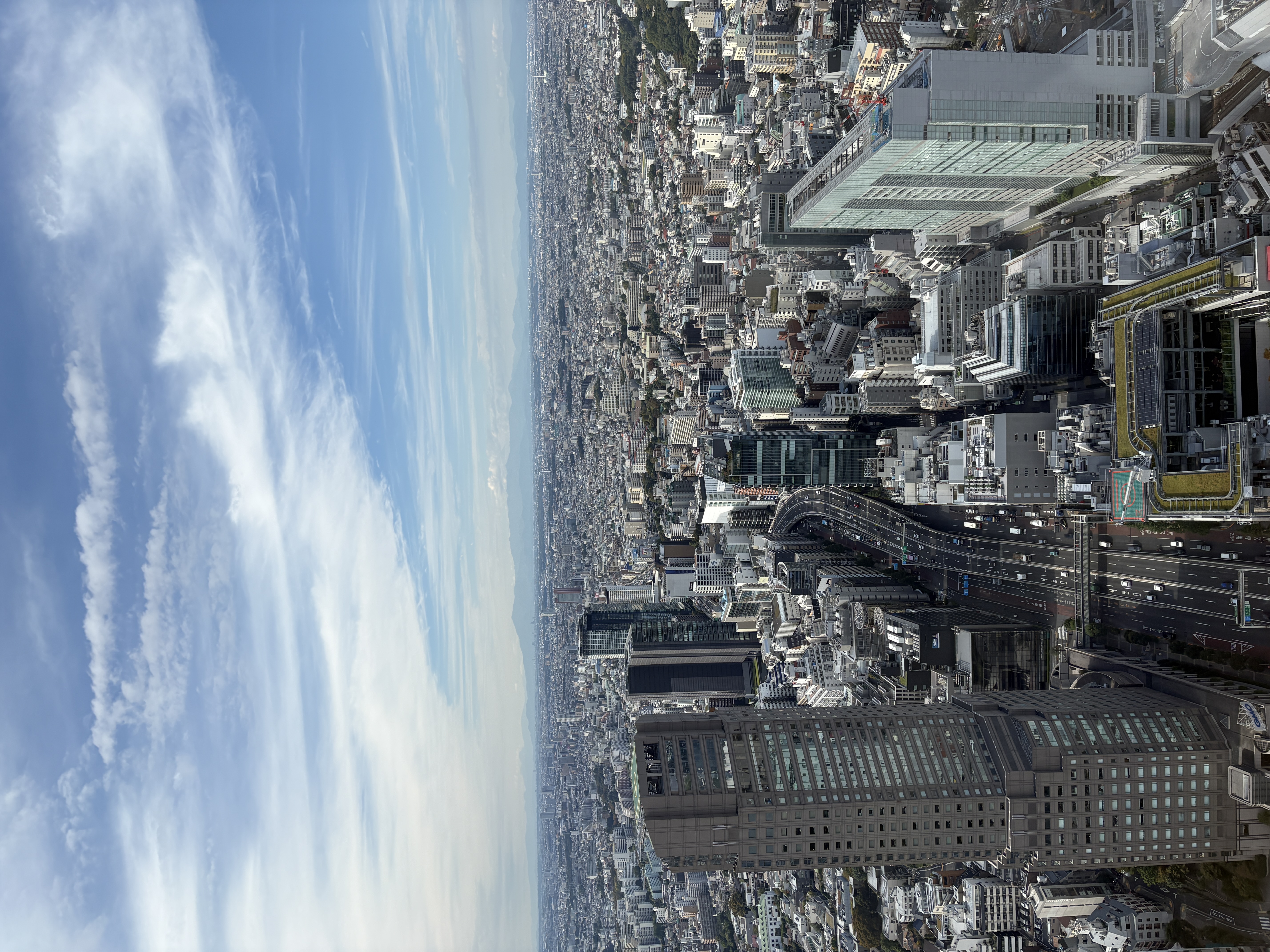 Shibuya sky view
