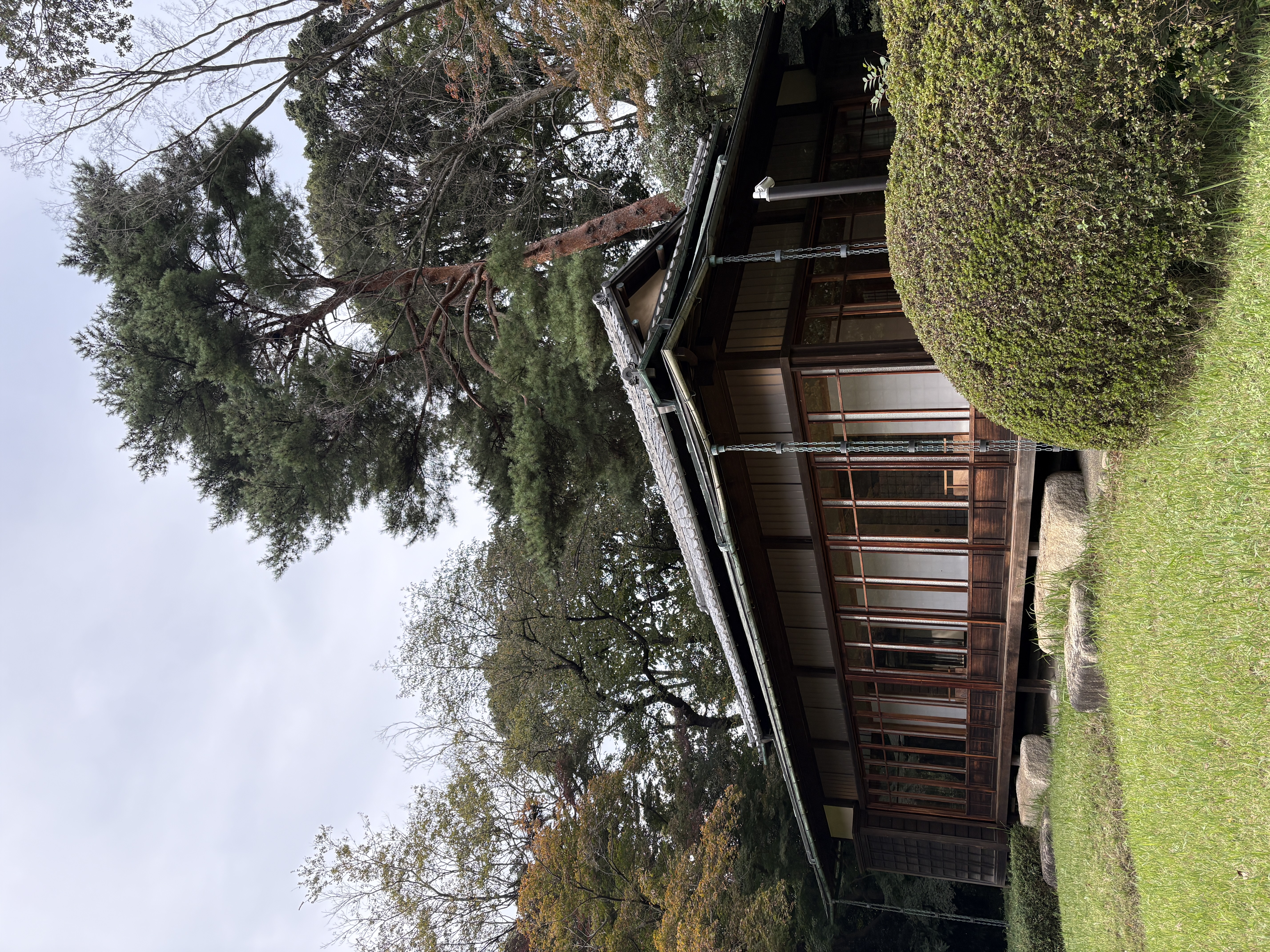 Meji shrine